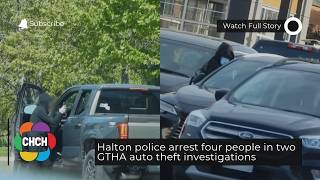 Halton police arrest four people in two GTHA auto theft investigations