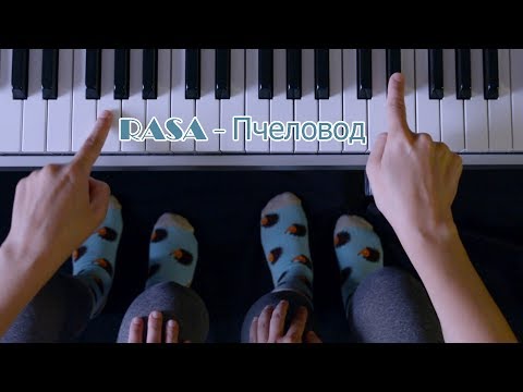 RASA - ПЧЕЛОВОД / ЛЕГКО ДВУМЯ ПАЛЬЦАМИ на пианино текст / Stop Motion Style