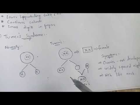POINT MUTATION BY PHANINDRA GUPTHA