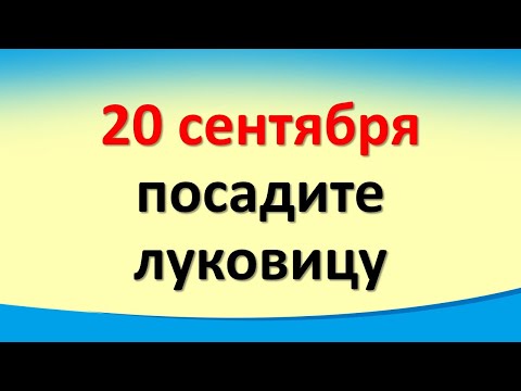 , title : '20 сентября посадите луковицу в стакан с водой. Заговор на деньги и удачу в доме'