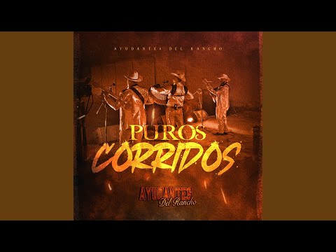 Quise Ver Como Empece