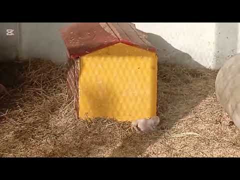 ¡UN BONITO LUGAR EN SAN ESTEBAN CATARINA! EL SALVADOR 🇸🇻