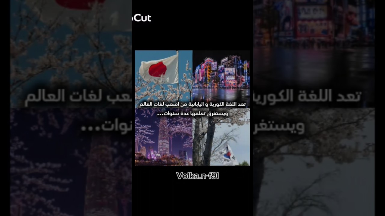 اسفة على السحبة + تصميمي (الجودة زفت👍🏻) #نطالب_بطرد_الاوتاكو_الي_اليابان 💔😍