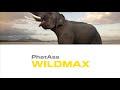 PhatAss WildMax