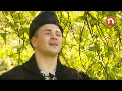 Nicu Mâţă - Mama linişte nu are