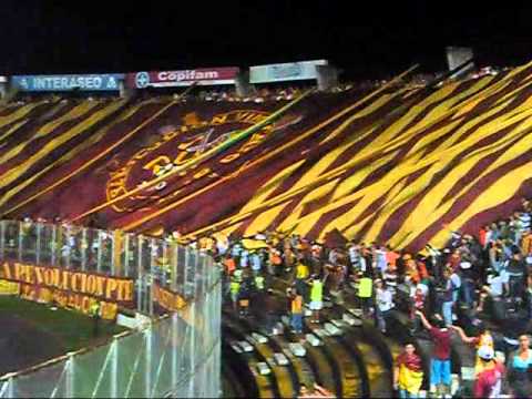 "Revolución Vinotinto Sur 2014 (Deportes Tolima 2 - Santa Fe 0)" Barra: Revolución Vinotinto Sur &bull; Club: Tolima