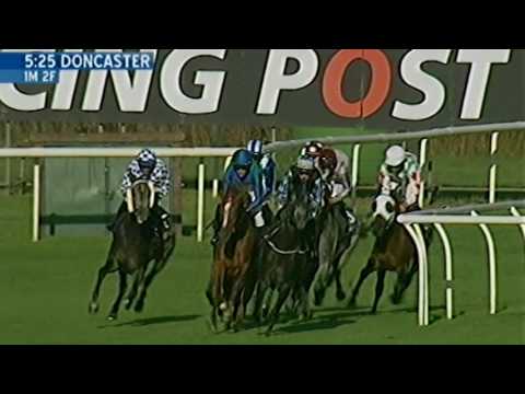 Doncaster 8th September 2016 Arabian Race