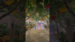 #shorts Covered indoor garden| Plants|Flowers| Ground cover plant ideas| Summer plants combinations