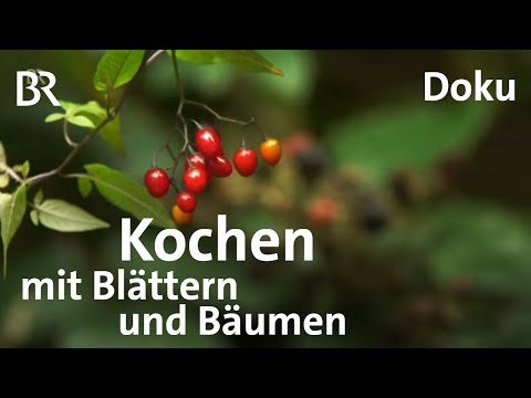 Selbstversorger-Menü aus dem Wald - Kochen mit Blättern und Früchten | Freizeit | Doku | BR