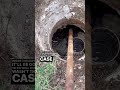 25 Years of Baker’s Yeast in the Septic Tank