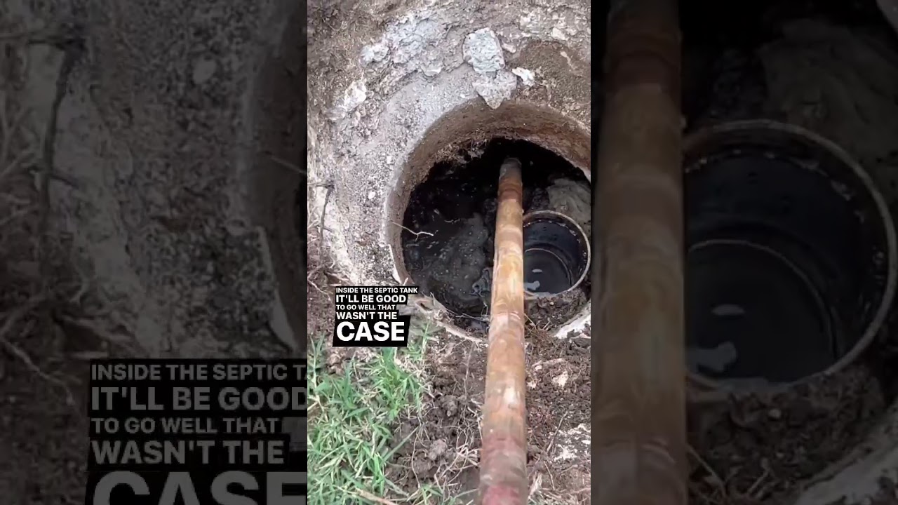 How much yeast should I use in my septic tank? EN General
