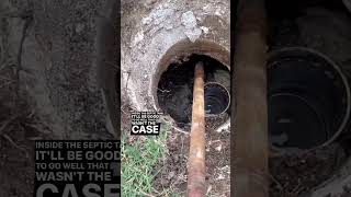 25 Years of Baker’s Yeast in the Septic Tank