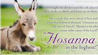 Hosanna (kids)