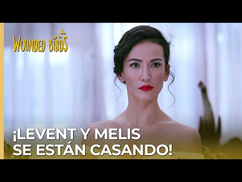 ¡Levent y Melis se están casando! | Omer Sueños Robados Capítulo 194