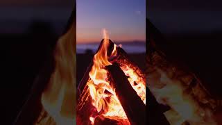 Who else would love to relax around this campfire right now? 💚 #relaxingmusic #campfire