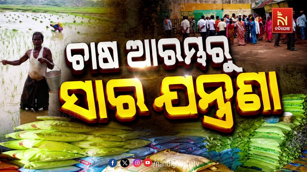 ଚାଷ ଆରମ୍ଭରୁ ସାର ଯନ୍ତ୍ରଣା | NandighoshaTV