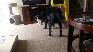 Brandy finally pays attention to Breeze!