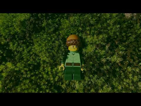 LIFE IN THE WOODS