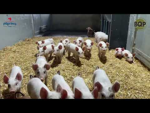 A visitor from LAMMA 25