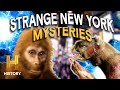 Monsters UFOs INFILTRATE New York City The Proof Is Out There