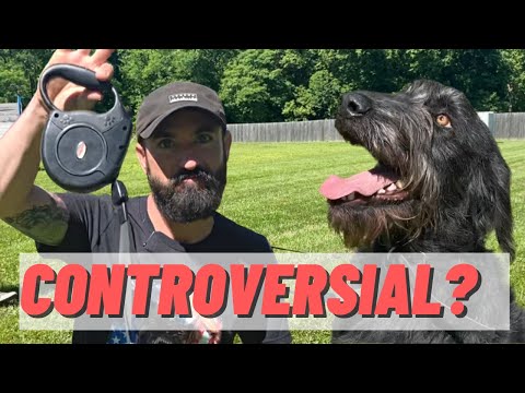 RETRACTABLE LEASH DO'S & DONT'S!!