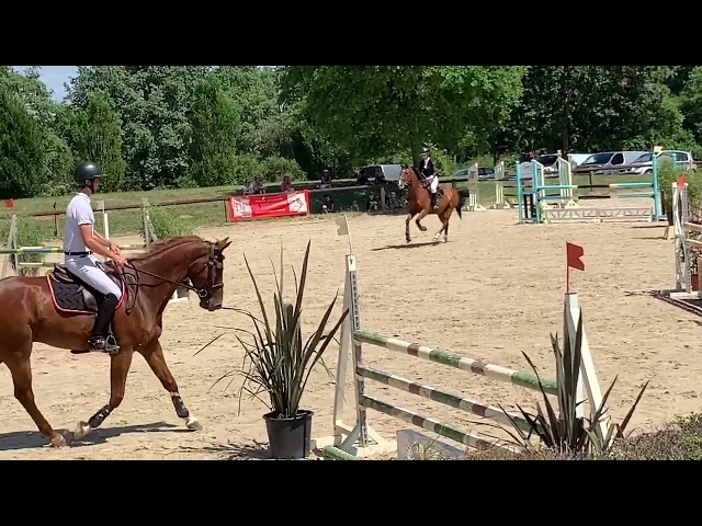 Cavali&egrave;re maison/concours, groom