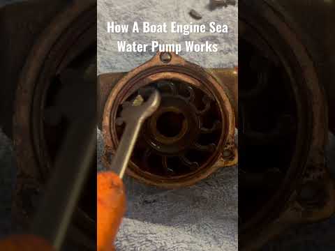 How A Boat Engines Sea Water Pump Works. Face Plate Removed Showing Impeller & Cam Plus Direction