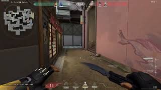 インサイトキャプチャーで録画したVALORANTのゲームプレイを見てみよう