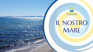 MARE