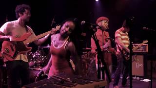 The Go! Team - Chainlink Fence (Live on PressureDrop.tv)