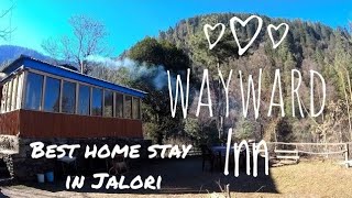 preview picture of video 'Wayward Inn Home stay | Jalori pass | Jalori | Jibhi #homestay #kullu #mountain #travel #waywardinn'