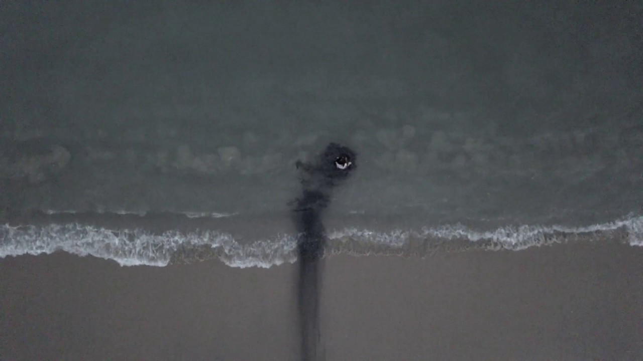 Inkoust ve vodě (umělecký projekt)