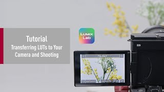 LUMIX Lab Tutorial | Transferring LUTs to the Camera and Shooting