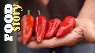 Thumbnail del capítulo