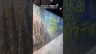 【ガウディ展大阪】サクラダファミリアを築いた建築の巨匠🇪🇸没後100年記念展覧会