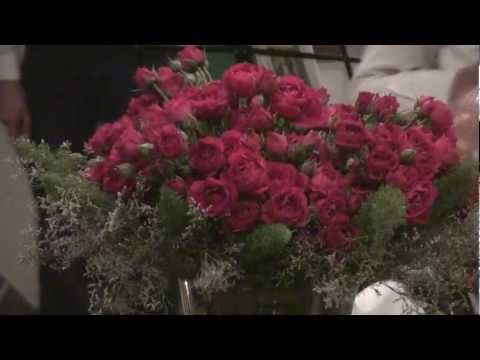 PEDI LICENÇA - FLOR DE JAGUBE - GERMANO 51