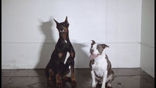 Music video thumbnail preview for Anberlin \ by Anberlin