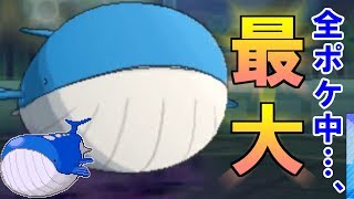 ホエルオー ポケットモンスター カラナクシ ヨルノズク プラスル ホエルオー ポケットモンスター カラナクシ ヨルノズク プラスル