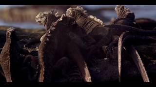 Baraka.. Revisited, pt 4:- 'Clouds across The Moon'