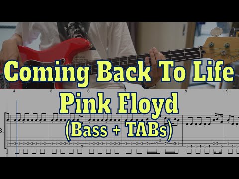 Pink Floyd - Coming Back To Life(Bass cover + Tabs)