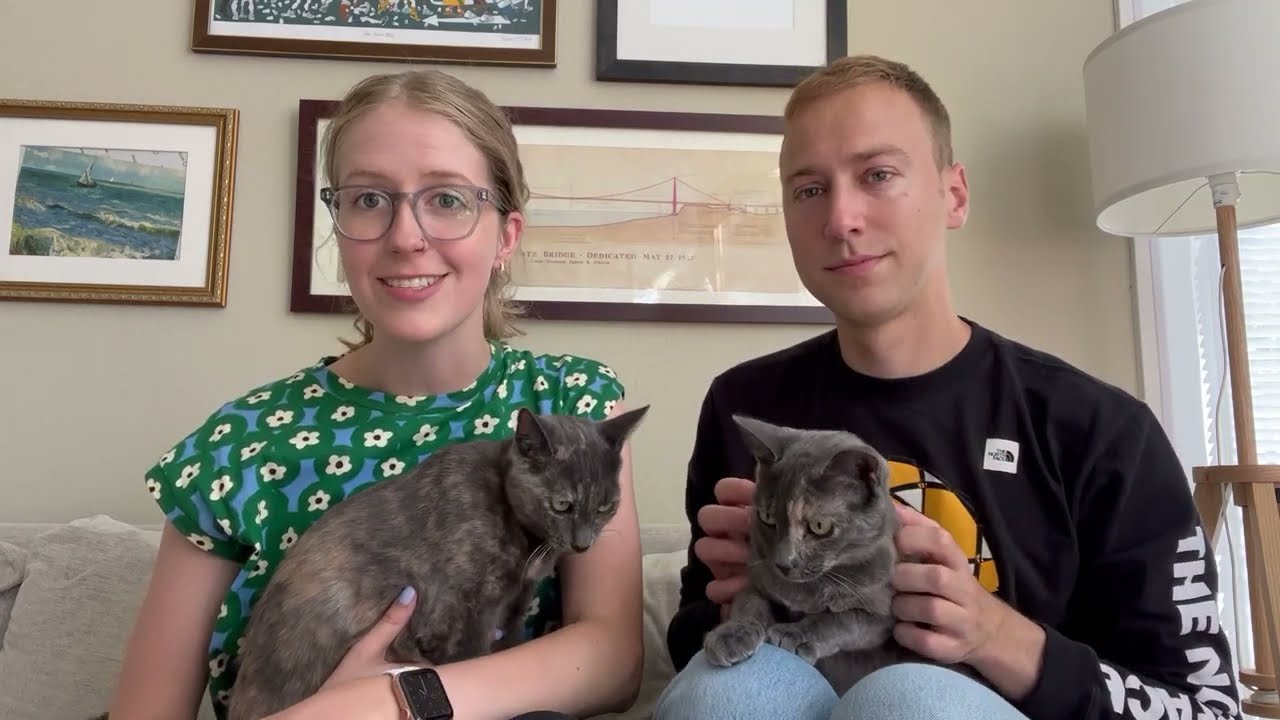 Paul K. - The Comforted Kitty Cat Sitting Review by a Client