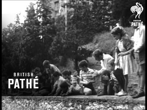 Elephants Cross The Alps (1959)