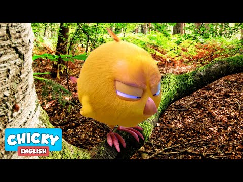 Where's Chicky? Funny Chicky 2020 |  CHICKY IN THE FOREST | Chicky Cartoon in English for Kids