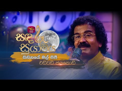 Sihinaye Mal Pipi | සිහිනයේ මල් පිපී  | Edward Jayakodi | Sandaru Suyamaya |  @RooTunes