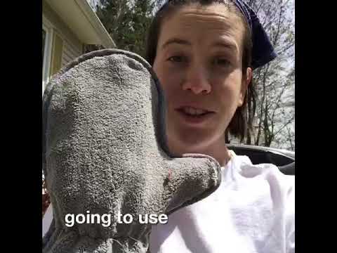 How to Clean Window Screens {Quick & Easy 2018}