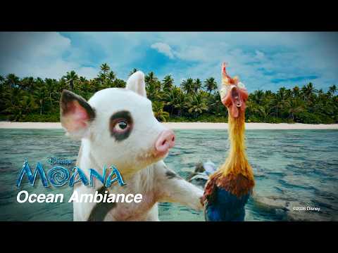 Ocean Ambiance