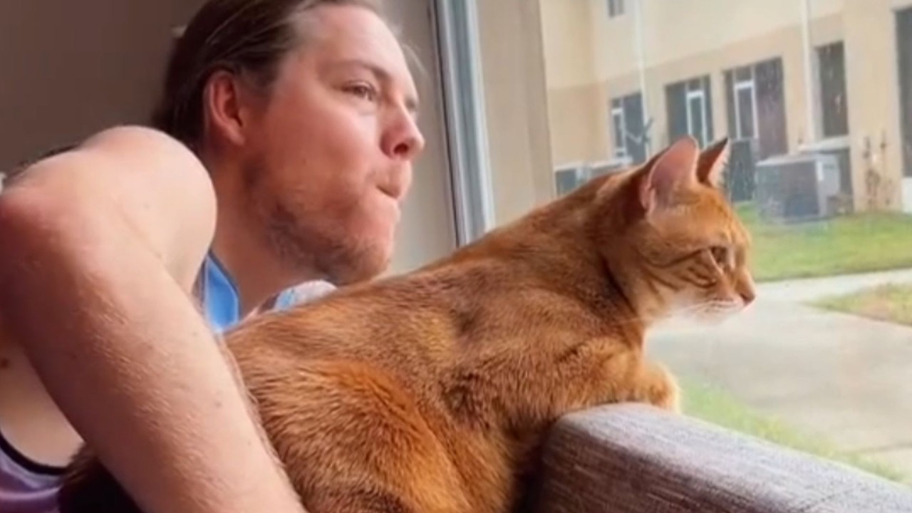 His Roommate's Cat Decided He Was the Owner — 6 Months Later, He Lives Alone With the Cat