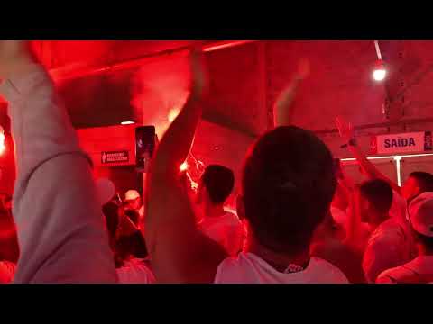 #TFI29ANOS - A FÚRIA É FODA! 🎶