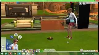 How to get a Cow plant sims 4