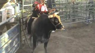 preview picture of video 'Jaripeo y Baile Ranchero en Chowchilla 07/18/10'